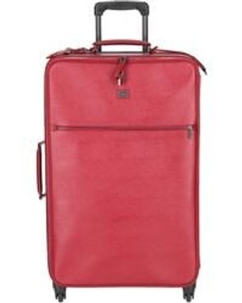 Men's Pink Wheeled luggage