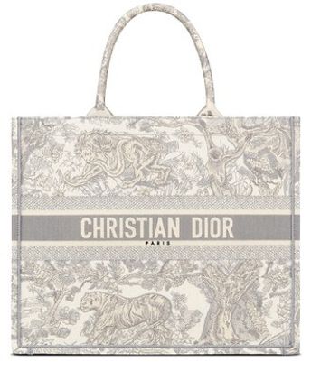 Large Dior Book Tote Bag
