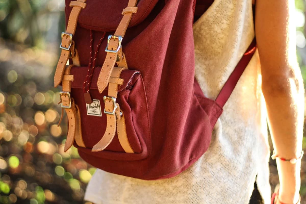 Top 6 Least-Expensive Green Shoulder Bags For Women Up To 20% Off