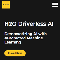 H2O Driverless AI