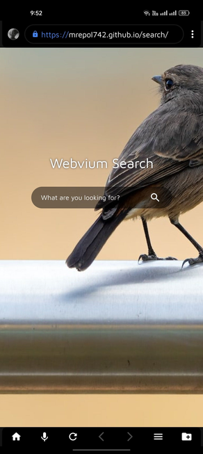 Webvium Browser